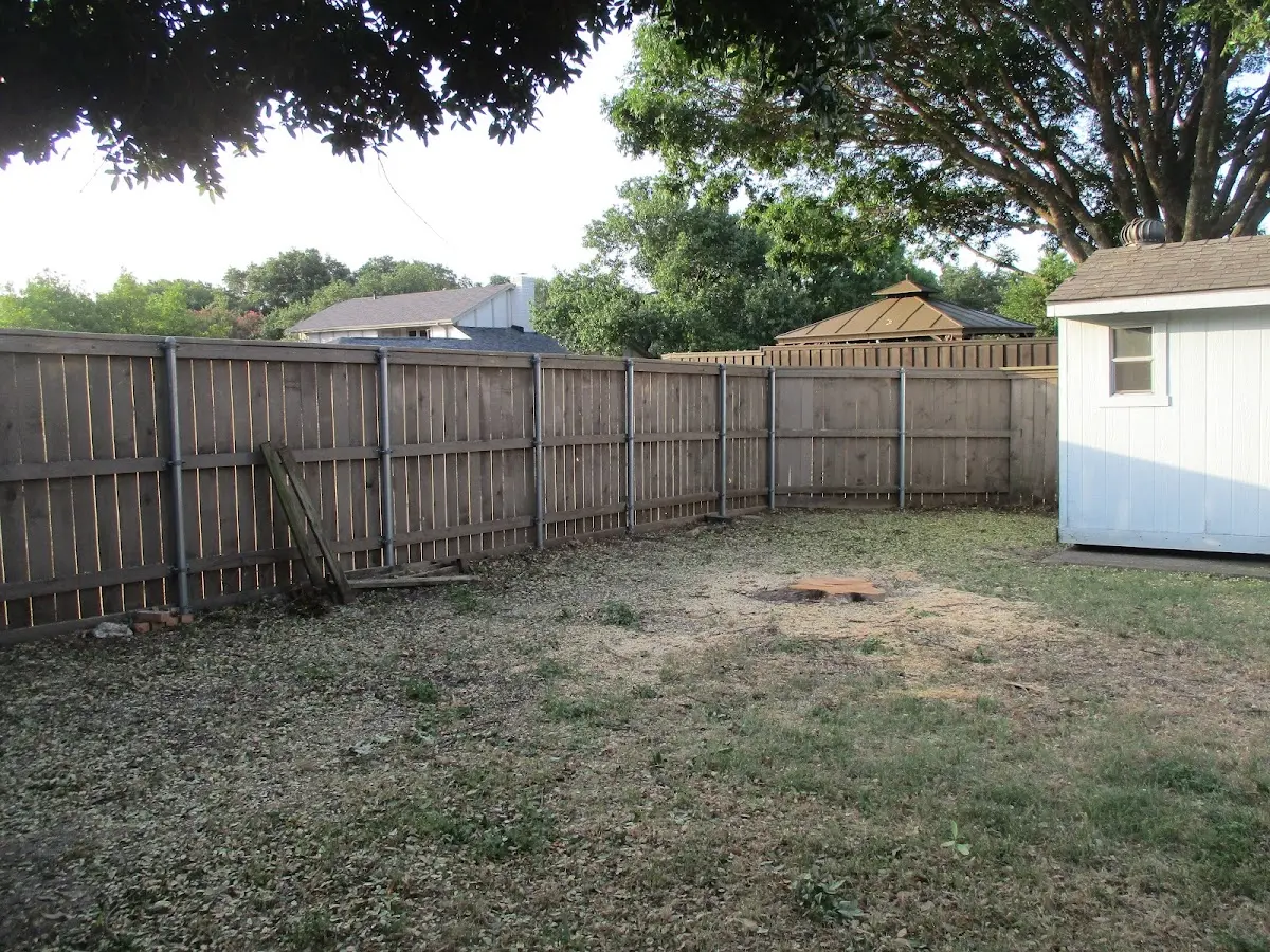 Cleared yard after professional tree removal in South Bound Brook